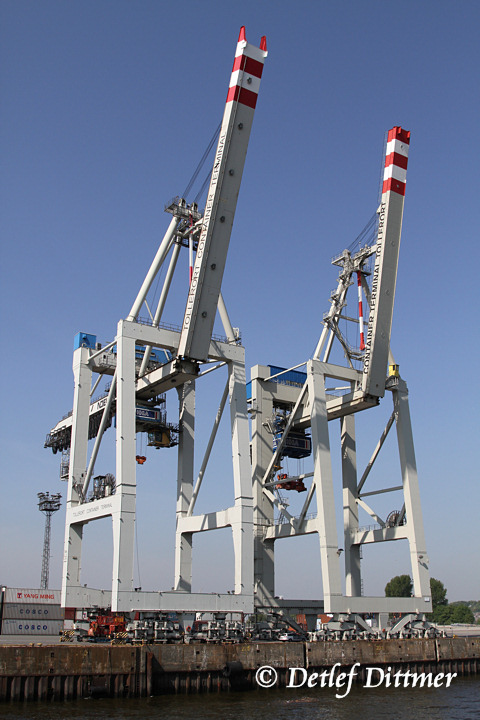 Containerkrne im Hafen von Hamburg
