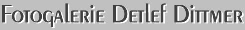 Fotogalerie - photo - gallery Detlef Dittmer