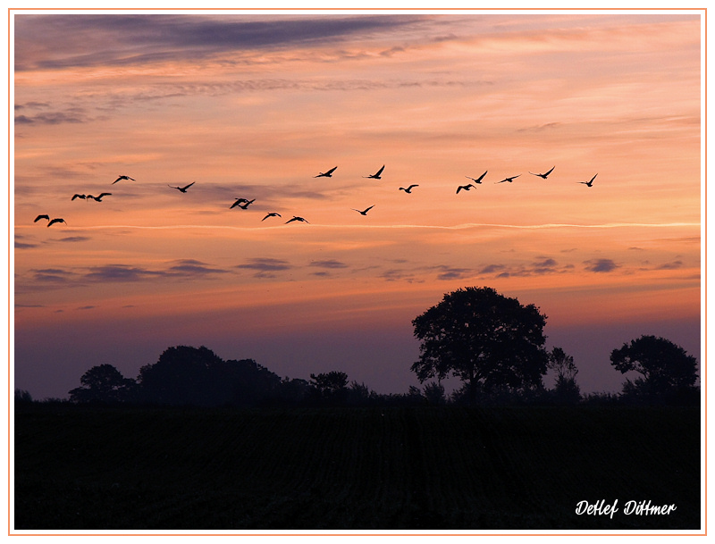 Abendrot