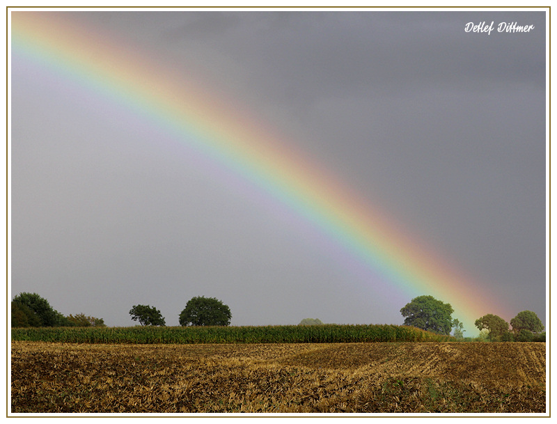 Regenbogen