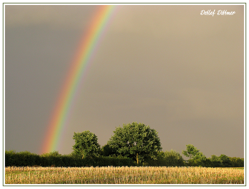 Regenbogen