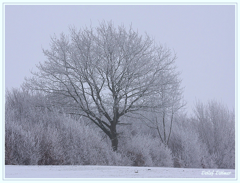 Winterlandschaft