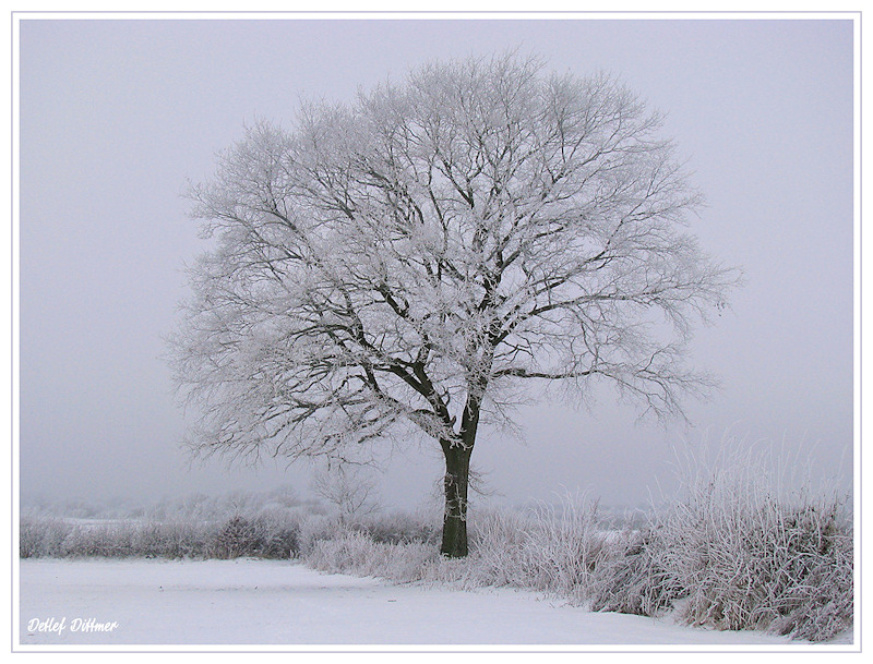 Winterlandschaft