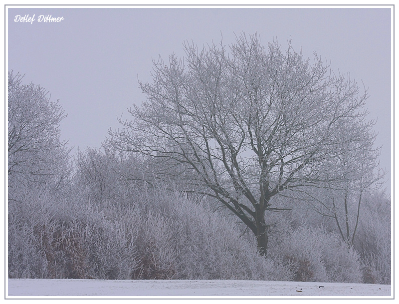 Winterlandschaft