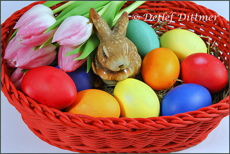 gefrbte Eeier mit Tulpen und Oster-Deko