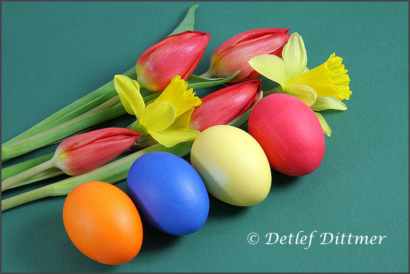 bunte Ostereier mit Tulpen und Narzissen
