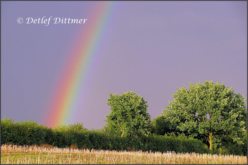 Regenbogen im Sptsommer