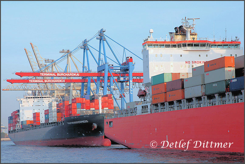 Zwei Containerschiffe an einem Terminal, Hamburg