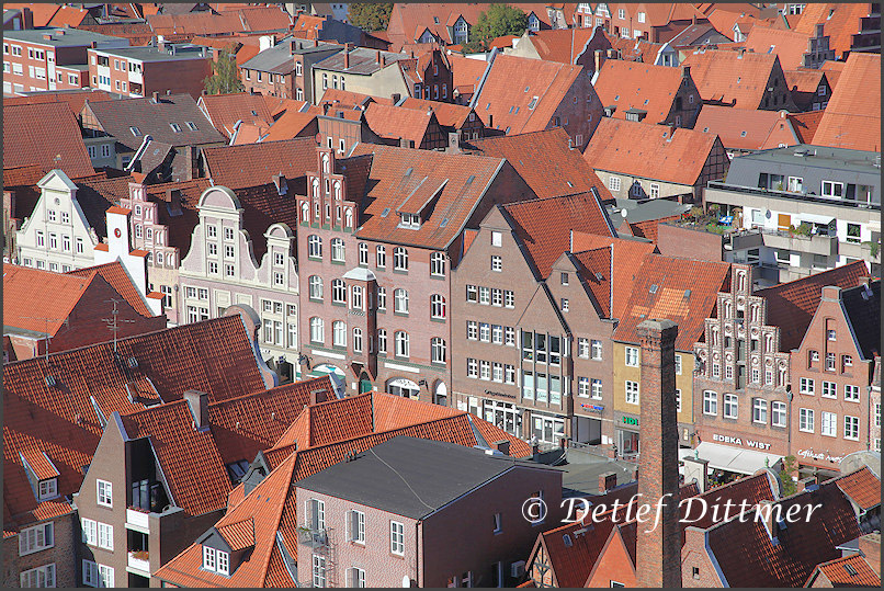 Blick vom Wasserturm auf die Altstadt von Lneburg